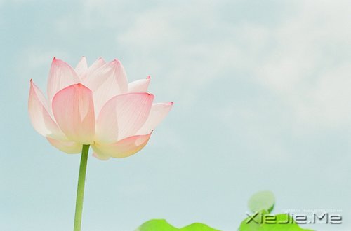 私奔吧，哪怕一个人 (1)