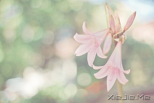 私奔吧，哪怕一个人 (3)