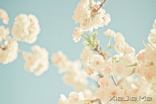 私奔吧，哪怕一个人 (6)