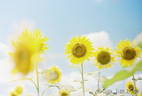 私奔吧，哪怕一个人 (7)