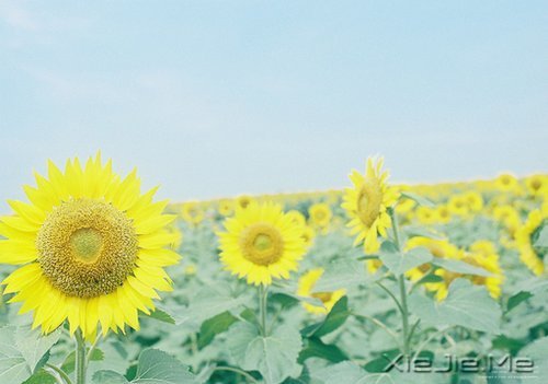 私奔吧，哪怕一个人 (8)