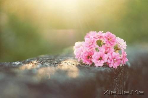 留下的，才是人生 (1)