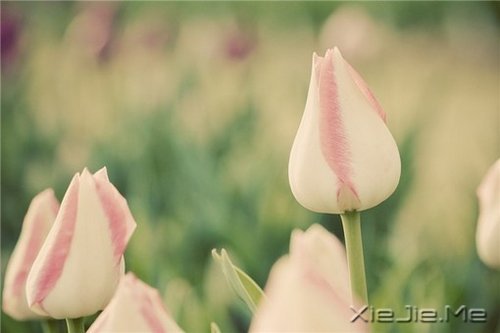 留下的，才是人生 (2)