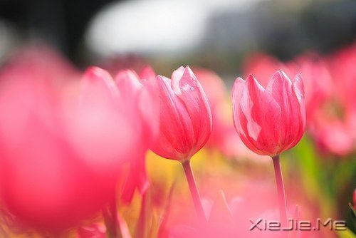 留下的，才是人生 (4)