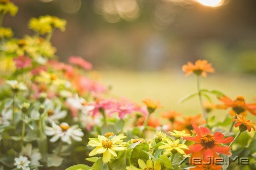 留下的，才是人生 (7)