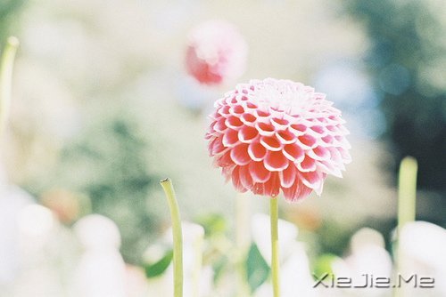 晚安心语：人不怕走在黑夜里，就怕心中没有光 (9)