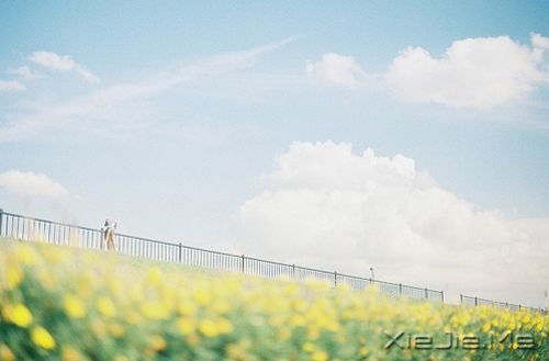 晚安心语：停在风景里，为自己唱首歌 (6)
