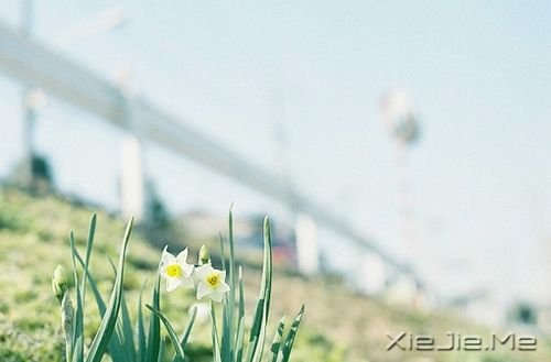 晚安心语：停在风景里，为自己唱首歌 (10)