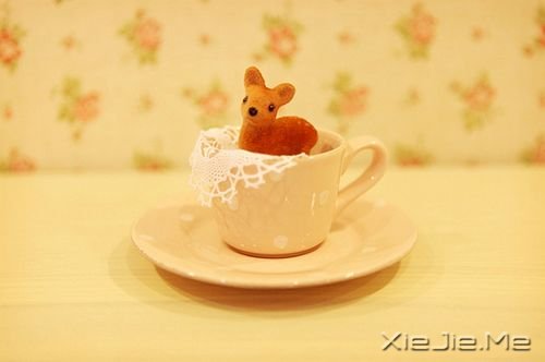 晚安心语：你来过一阵子，我却怀念了一辈子 (10)