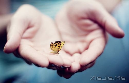 文字：让我们在最美的年华彼此遇见 (5)